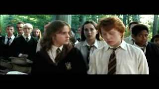 Ron &amp; Hermione - I don&#39;t wanna fight no more.