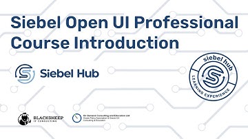 Siebel Open UI Professional - Course Introduction