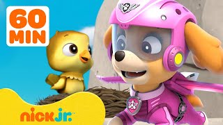 PAW Patrol Skye's Best Rescues & Adventures! 🛫 1 Hour Compilation | Nick Jr. screenshot 3