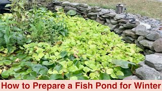 How to Prepare a Fish Pond for Winter