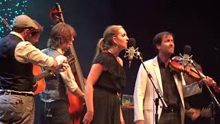 A Pinch of Punch Brothers, Andrew Bird at Portland Zoo Aug 18,. 2018