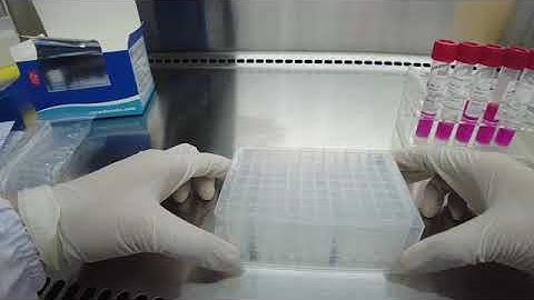 Automated RNA extraction and DNA isolation technologies from BIOTEKE