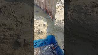 পুটি মাছ ধরার সবচেয়ে আধুনিক কৌশল।