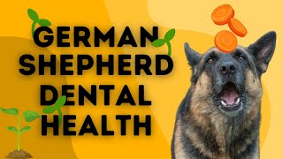 A Must Know Trick for Doggie Dental Health!!! by German Shepherd Man Official Channel 732 views 2 weeks ago 2 minutes, 46 seconds