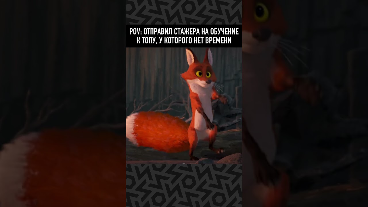 Как прошел ваш ускоренный курс адаптации? 