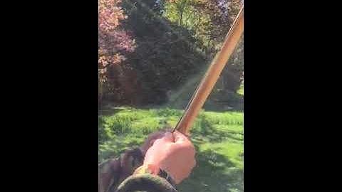 woodland bow rawhide backing