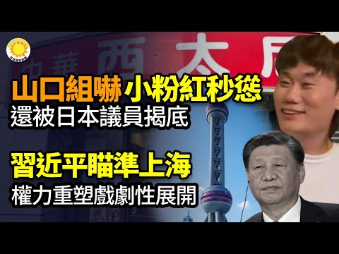 🔥习近平瞄准上海：权力重塑戏剧性展开；让山口组吓懵了？小粉红秒怂！还被日本议员公布个人信息!又是心脏病 山西汾酒原党委书记猝亡；“中国民间档案馆”网站在美成立 提供文革六四天安门敏感史料【阿波罗网FT