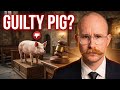 Medieval Courts Put Pigs on Trial | Here's Why