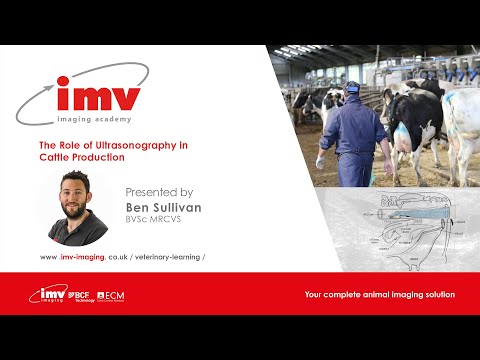 IMV imaging webinar: The Role of Ultrasonography in Cattle Production