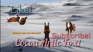 Intro For Cocoa Artic Fox!