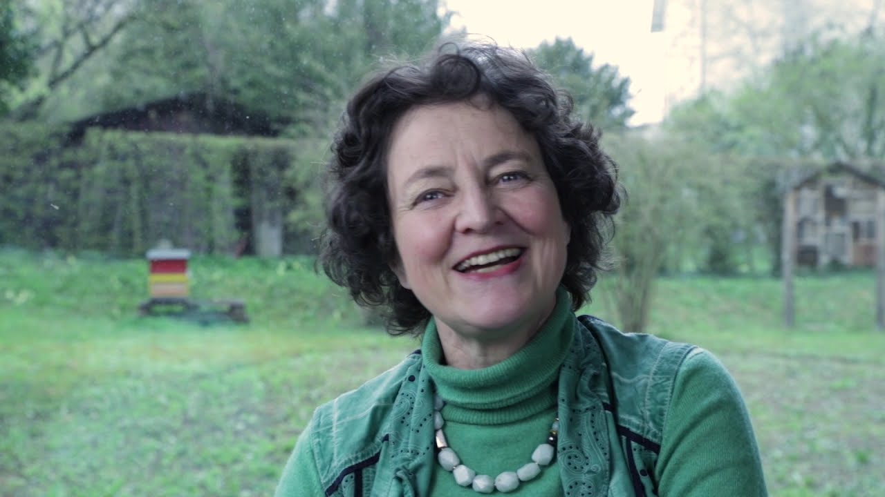 Interview mit Künstlerin Jeanette Zippel „Bee Happy – Kunstwerke mit und über Bienen