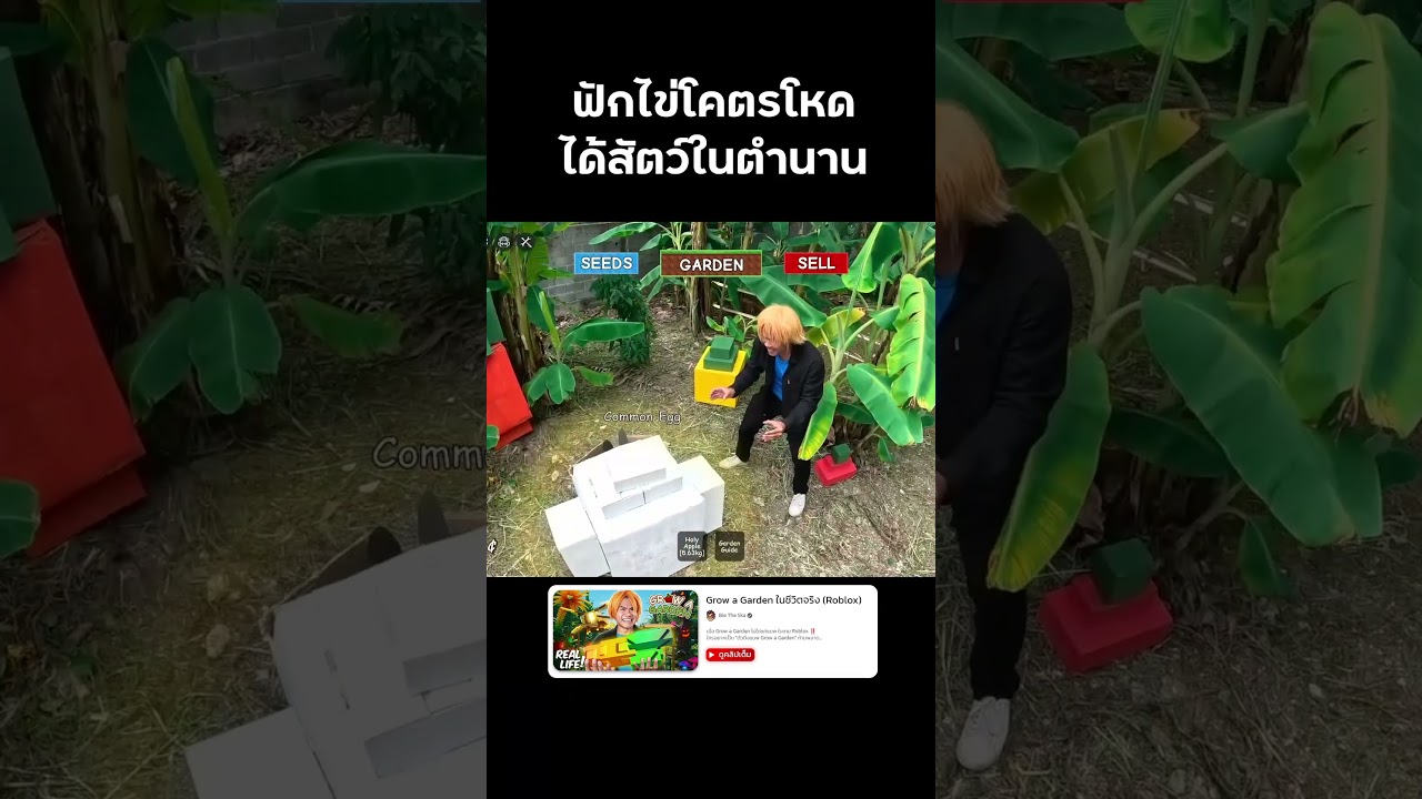 ผมได้สัตว์ตำนานในแมพ Grow a Garden 😊 #growagarden #roblox #reallife  #bietheska #บี้เดอะสกา