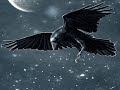 FACTS ABOUT RAVENS