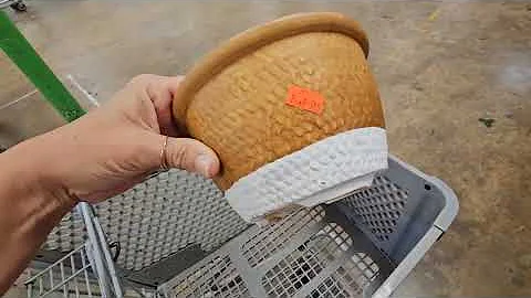 I lost my mind at the Goodwill bins. Watch till the end. Someone makes a special appearance