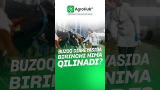 Diareyada birinchi nima qilinadi?! #ferma #chorva #agro #buzoq #diareya #ichketishi #agro