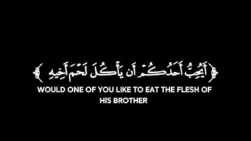 كروما شاشة سوداء قرآن كريم 🌿تلاوة من سورة الحجرات 🌿القارئ محمد الحميد 🌿