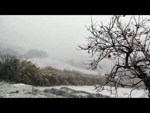 Neve a Cuccurano di Fano: il video di un Reporter di Fano TV