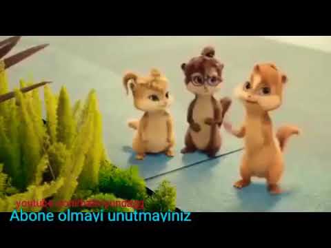 Alvin ve sincablar Mıdgome