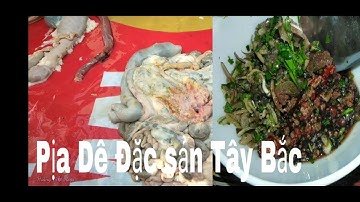 Pịa Dê Lạp Sống Và Món Tiết Canh Dê|Hoàng Việt Vlogs