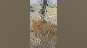 Amazing Excavator Tree Uprooting | Viral Heavy Machine 🚜🌳| Ep 38 #Shorts