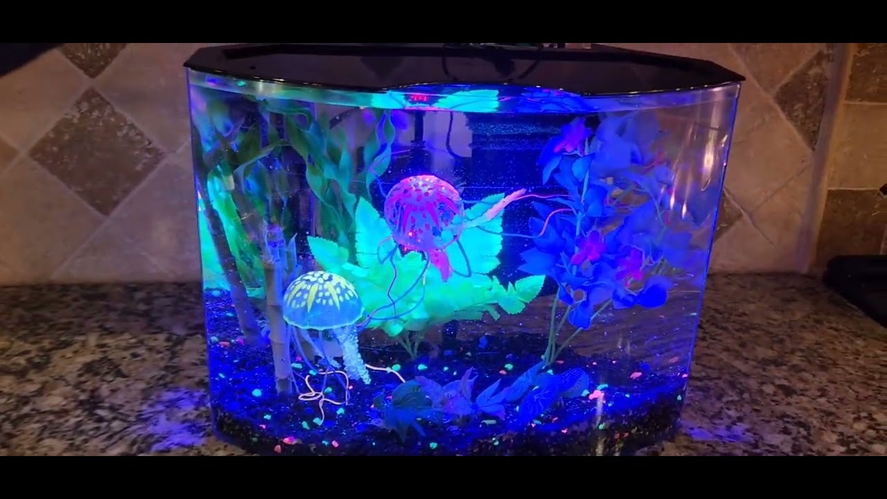 GloFish 5 Gallon Crescent Fish Tank Aquarium Kit Review 🐟 Perfect For  Betta Fish! 