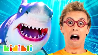 Let's meet and feed Sharks! | Educational Videos for Kids | Kidibli