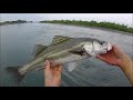 K-TEN BLUE OCEAN BKF-75 for River Seabass