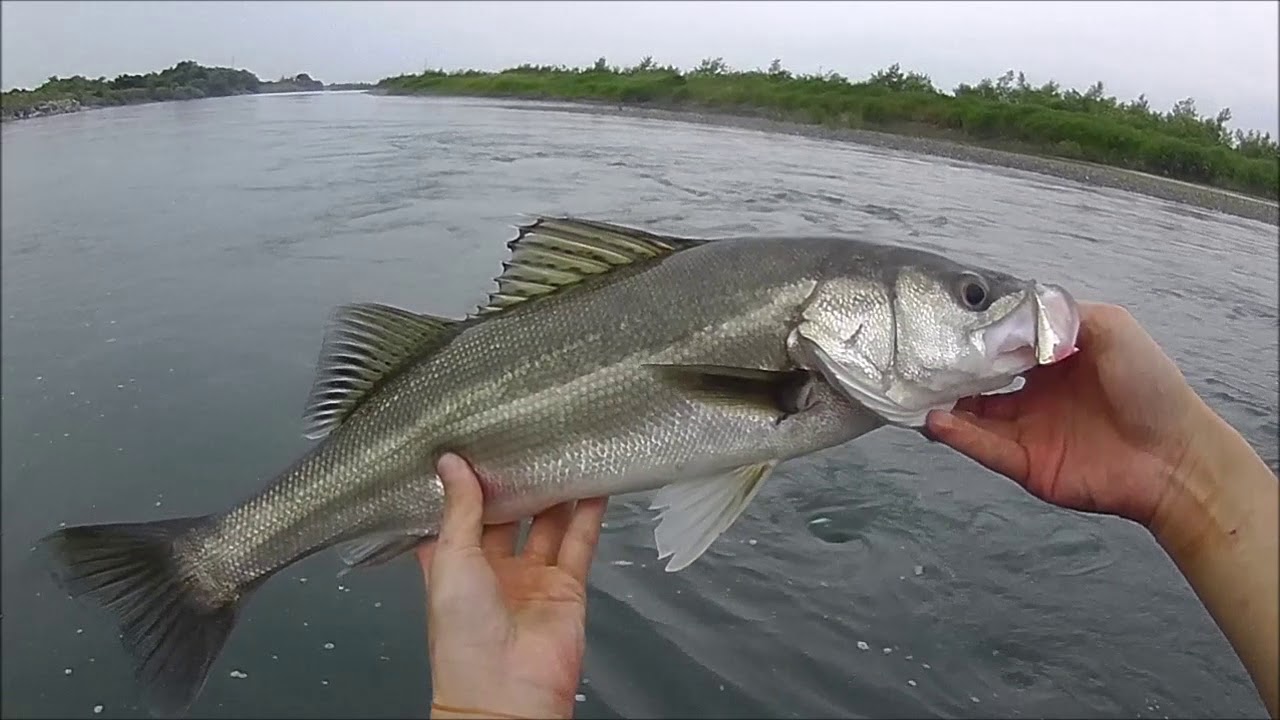 K-TEN BLUE OCEAN BKF-75  for River Seabass