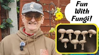 Have You Ever Grown Mushrooms?