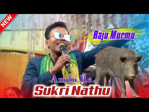 Amdo Re Sukri Nathu Raju Murmu New Santali Hit Song 2025 Santali Program Video Song 2025