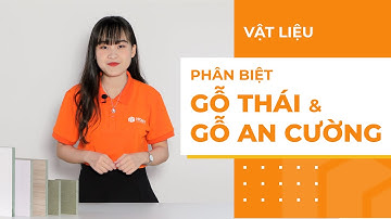 So Sánh Gỗ An Cường Và Gỗ Thái Lan Dễ Hay Khó? | HOMY.VN