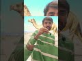 How do camels walk in the dessert?#physicsfacts#cammelfacts#virafacts#cammel