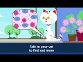 The Microbiome: Your Cat’s New Best Friend.