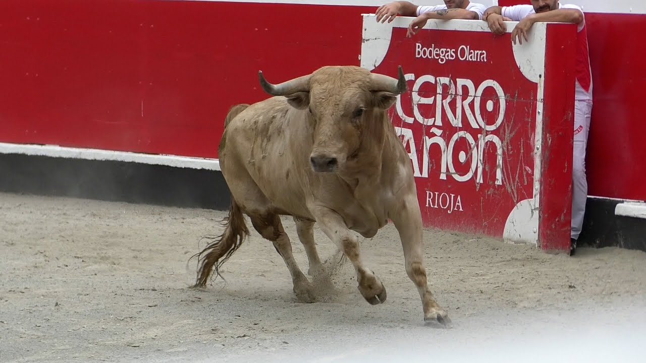 ERREKORTARI TXAPELKETA AZPEITIA 2024