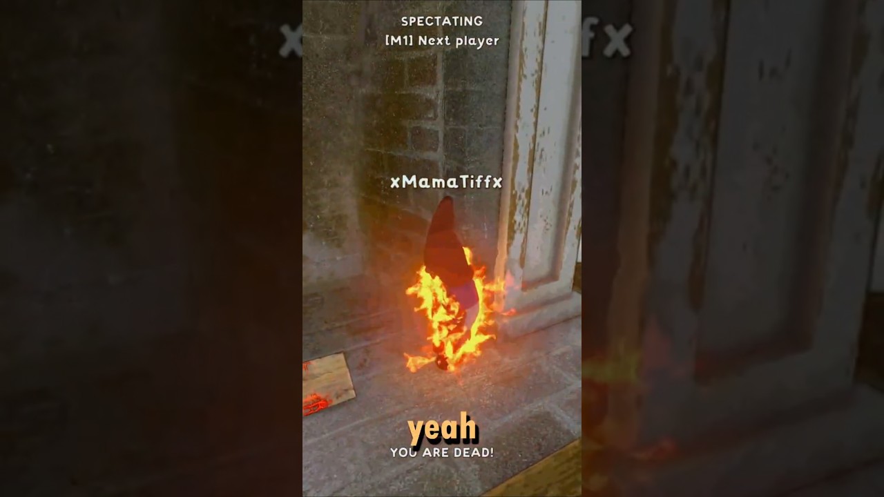 Flaming Gnomes