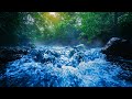 River Sounds for Sleeping &amp; Relaxation | 10 Hour Water White Noise