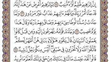 سورة هود الصفحة 230 من القران للشيخ ياسر الدوسري