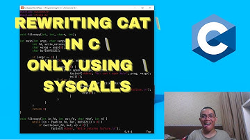CAN AN IDIOT REWRITE CAT IN C BY ONLY USING SYSCALLS??? (K&R EXERCISE 8-1, UNIX)