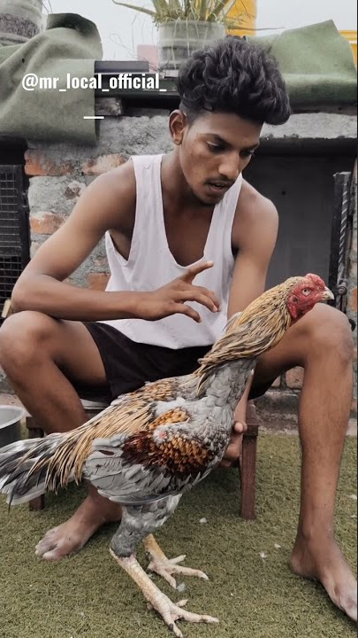 💥panthayam mattum koduthuratha da thambi......👿⚔️ #shorts #aadukalam #dhanush #trending #letsmoj
