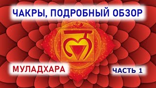 Инфосоматика. Гомеостаз. Чакра Муладхара, часть 1