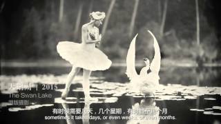 Alex Timmerman - Going Back to Photography Again