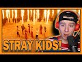 Stray Kids &quot;특(S-Class)&quot; M/V REACTION!