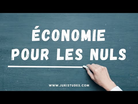 Vidéo: Méthodes et principes d'analyse économique