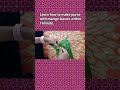 Make Banana leaf Purse#amazing #art #amazingshorts #shorts #Creativity #yt  #artist #creative #ideas