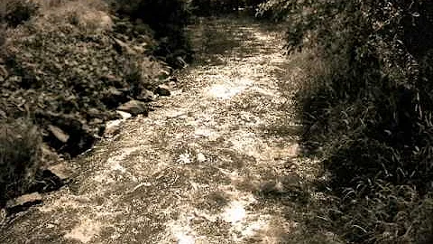 Norman Blake and Peter Ostroushko - "Muddy Creek"