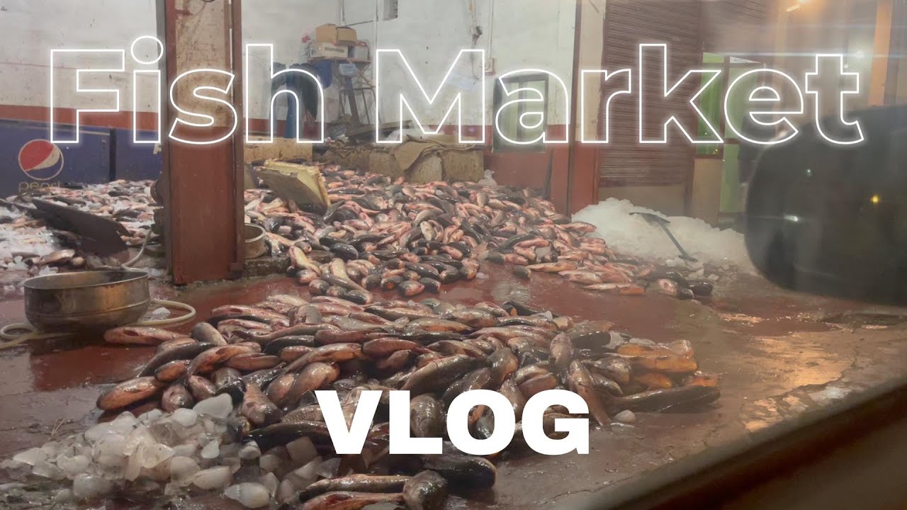 Multan Fish Multan Fish Market | Everyday Perfections - YouTube