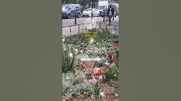 تلاوة خاشعة عطرة مباركة جميلة عذبة مميزة طيبة للشيخ سعد الغامدي سورة الزلزلة