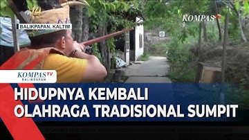 Sumpit, Senjata Tradisional Dayak Yang Hampir Punah