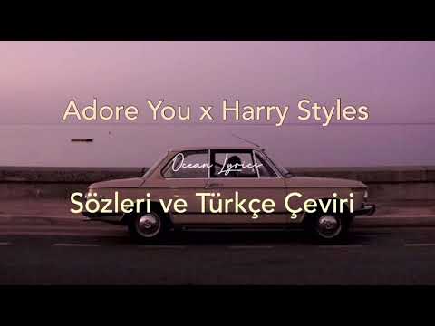 Harry Styles x Adore You || Sözleri ve Türkçe Çeviri