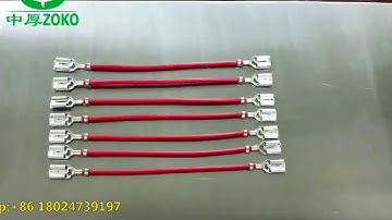 Full servo both ends terminal crimping machine